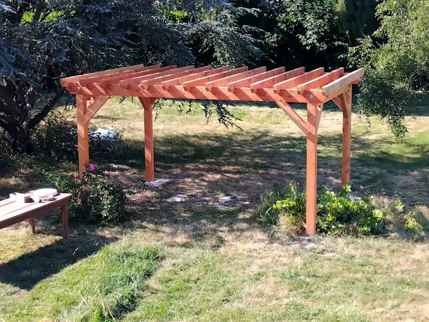 Pergola en Douglas massif
